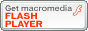 FLASH�v���C���[�̃_�E�����[�h�͂�����